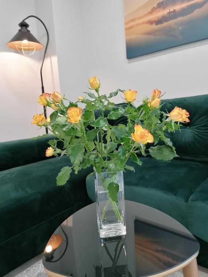 Апартаменты Apartamentai su terasa ir vaizdu į miestą Тельшяй-8